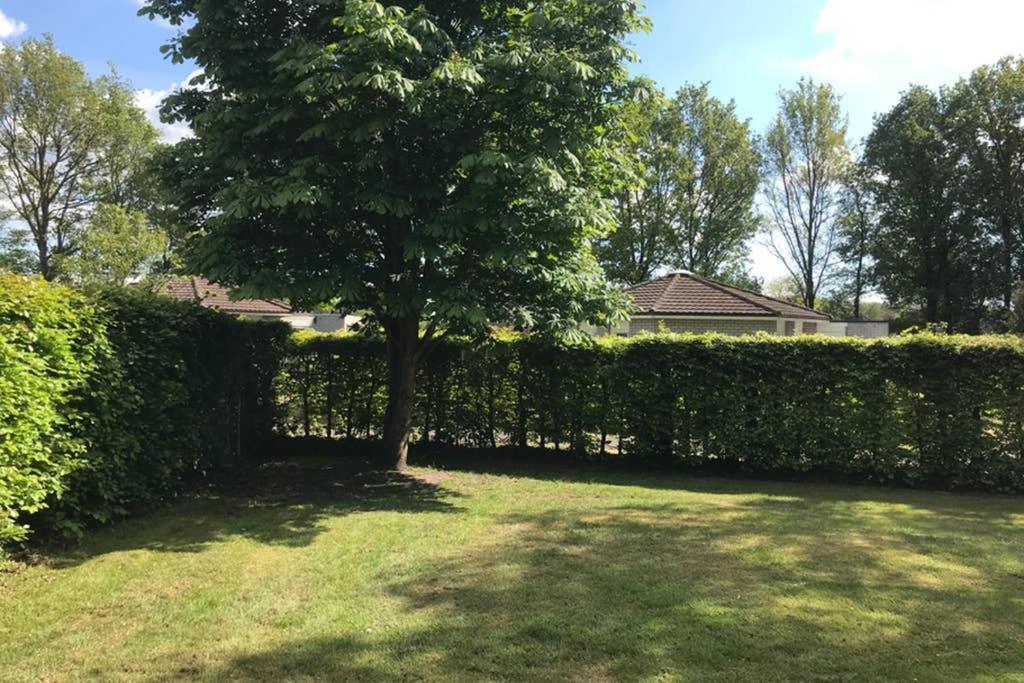 Rustig Gelegen Bungalow In Mooi Havelte Exteriér fotografie